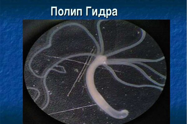 Кракен продажа