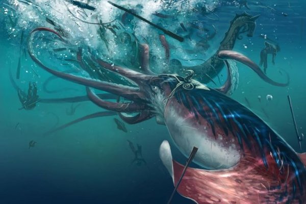 Kraken 12 at