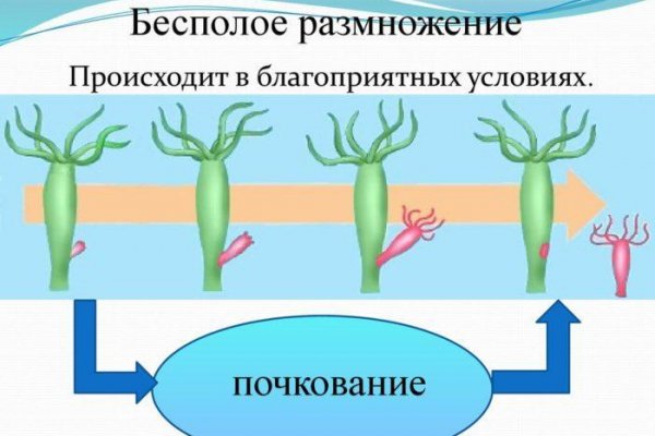 Кракен рабочее на сегодня сайт