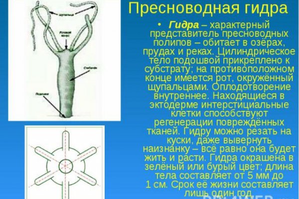 Пользователь не найден кракен что делать