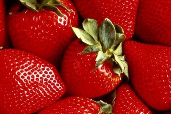 Что такое кракен шоп